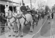 Sonntagsfahrverbot 1973: Pferdekutsche auf der Bahnhofstrasse 