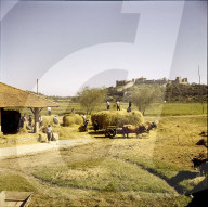 Frauen und Männer arbeiten bei einem Dreschplatz, Portugal 1960
