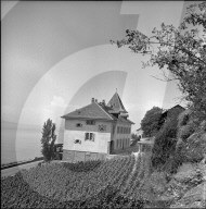 Das Rebgut "Domaine du Burignon", 1957