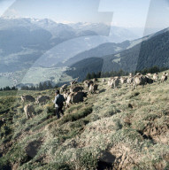 rdb00167609