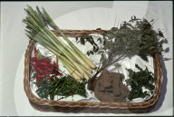 Verschiedene Gewürze