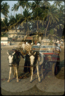 Strassenhandel in Indien, 1981