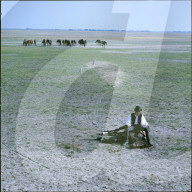 Hirte in der Puszta ruht sich auf seinem Pferd aus, Ungarn 1960