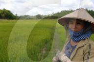 Cash Magic Project in der Provinz Dong Nai, Vietnam 2005