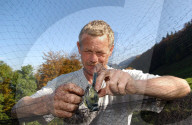 Markus Bader untersucht die Gesundheit von Zugvögeln in Lauwil BL, 2005