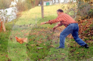 Dubowac Radowan beim Hühner einfangen, 2005