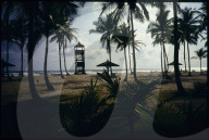 Palmstrand an der Elfenbeinküste 1990