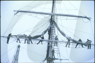 Matrosen in der Takelage der "Sedov" 1990