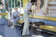 Training mit Blindenführhund; Tramhaltestelle 1985
