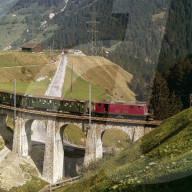 rdb00175250