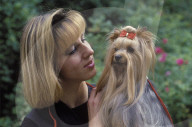 Frau mit Yorkshire-Terrier