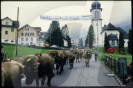 Transparent gegen türkische Asylbewerber, 1988