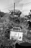 1986: Radioaktive Strahlungen nachTschernobyl Katastrophe