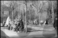 "Frühling" Ende Januar 1971