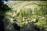 Schweizer Armee 1985: Zeltlager im Wald
