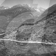 "Heidenwein"-Rebberg bei Visperterminen, 1956