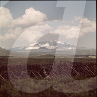 Hochebene Dovrefjell im Hintergrund der Snohetta, Norwegen 1960