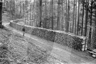 Waldweg mit Holzstapeln, 1971