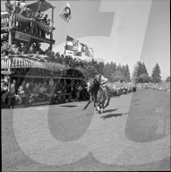 48. Marché-Concours Saignelégier, Zieleinlauf, 1951