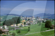 Stein (AR) 1986