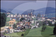 Stein (AR) 1986