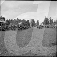 53. Marché-Concours Saignelégier, Wagenrennen, 1956