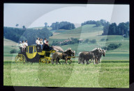 Pferdekutsche, Trachselwald 1981 