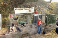 Tierschützer protestieren gegen Hundehaltung von A. Krähenbühl