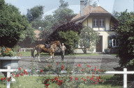 EMPFA; Bereiter beim Voltigieren eines Pferdes 1985