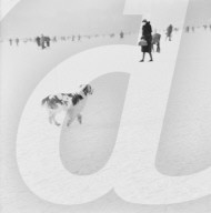 Seegfrörni Zürich 1963, Spaziergänger