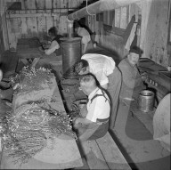Arbeitsstätte für Teilarbeitsfähige, 1960