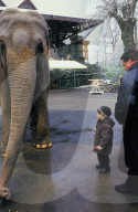 Elefant Patma mit  Ivan-Frédéric und Fredy Knie jun., 2004