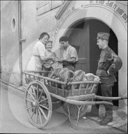 WK 2: Landhilfe; Freiwillige während der Grenzbesetzung, 1939
