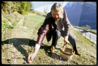 Mann bei der Safran-Ernte, 1986