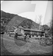 rdb00244347