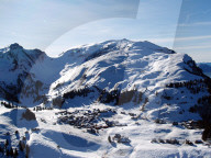 Unten Gruen oben Weiss