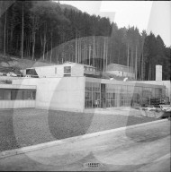rdb00247181