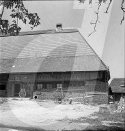 rdb00247229