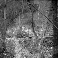 Grundmauern nach Explosion in der Sprengstoffabrik Isleten 1954