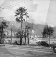 rdb00249584