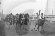 Pferderennen in Dielsdorf 1975