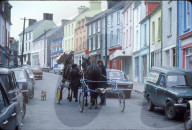 Pferde, Dorfstrasse in Irland, 1979