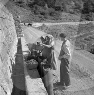"Heidenwein": Weinlese am Hang des Hohtenn, 1956