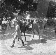 Olympische Spiele Rom 1960: Der Moderne Fünfkämpfe Rolf Weber