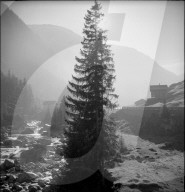 rdb00252819