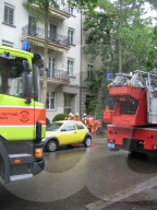 rdb00252828