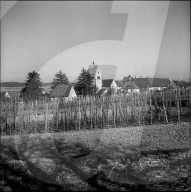 rdb00253305