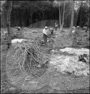 Waldrodung, Landgewinnung für Mehranbau durch internierte Polen; 1943