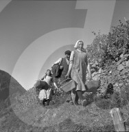 "Heidenwein": Weinlese, 1956