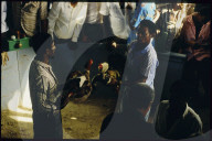 Kampfhähne vor Wettkampf, Guadeloupe 1985